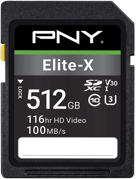 Full Size and Micro SD Cards